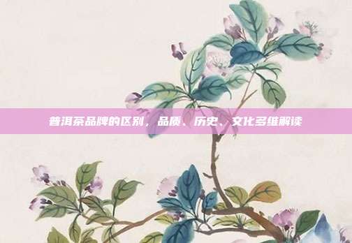普洱茶品牌的区别，品质、历史、文化多维解读