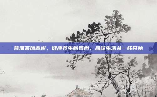 普洱茶加青柑，健康养生新风尚，品味生活从一杯开始