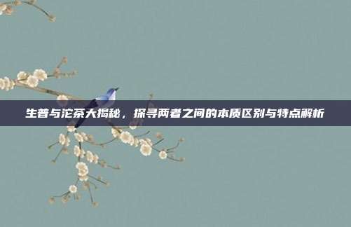生普与沱茶大揭秘，探寻两者之间的本质区别与特点解析