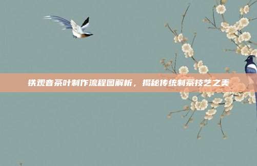 铁观音茶叶制作流程图解析，揭秘传统制茶技艺之美
