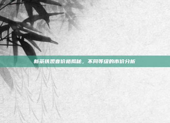 新茶铁观音价格揭秘，不同等级的市价分析