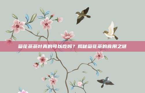菊花茶茶叶真的可以吃吗？揭秘菊花茶的食用之谜