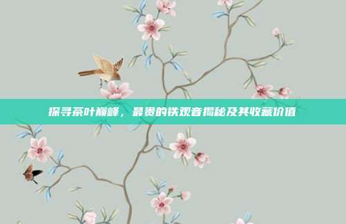 探寻茶叶巅峰，最贵的铁观音揭秘及其收藏价值