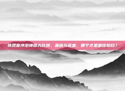 铁观音冲泡神器大比拼，盖碗与茶壶，哪个才是最佳拍档？