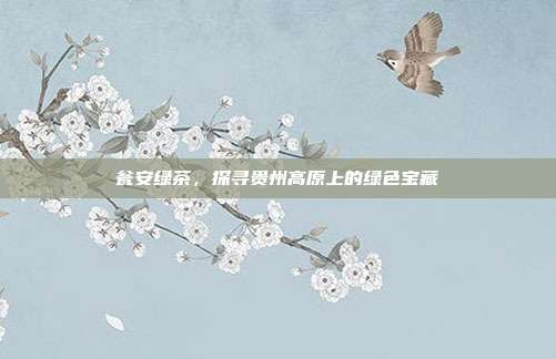 瓮安绿茶，探寻贵州高原上的绿色宝藏