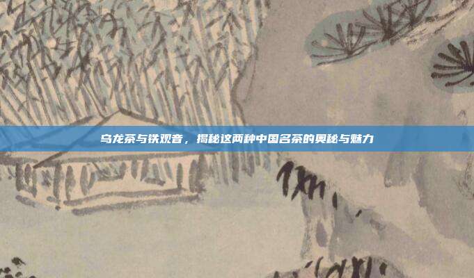 乌龙茶与铁观音，揭秘这两种中国名茶的奥秘与魅力