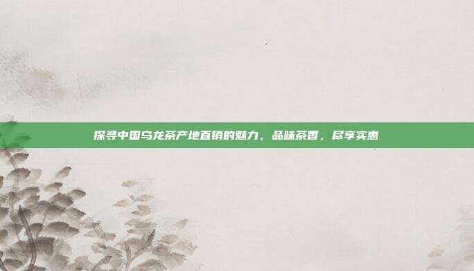 探寻中国乌龙茶产地直销的魅力，品味茶香，尽享实惠