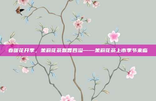 春暖花开季，茉莉花茶飘香四溢——茉莉花茶上市季节来临