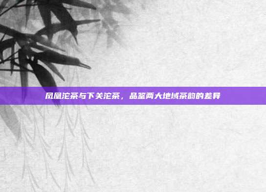 凤凰沱茶与下关沱茶，品鉴两大地域茶韵的差异