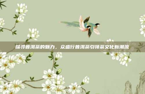 探寻普洱茶的魅力，众盛行普洱茶引领茶文化新潮流