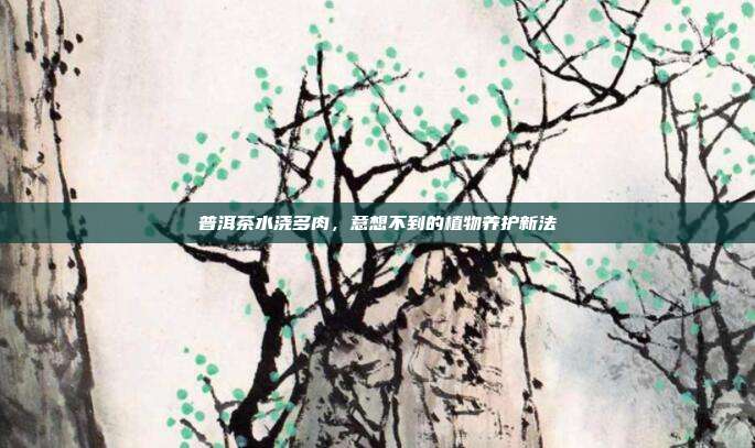 普洱茶水浇多肉，意想不到的植物养护新法
