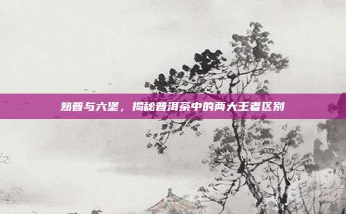 熟普与六堡，揭秘普洱茶中的两大王者区别