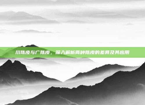 川陈皮与广陈皮，深入解析两种陈皮的差异及其应用