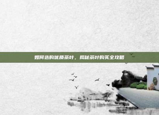 如何选购优质茶叶，揭秘茶叶购买全攻略