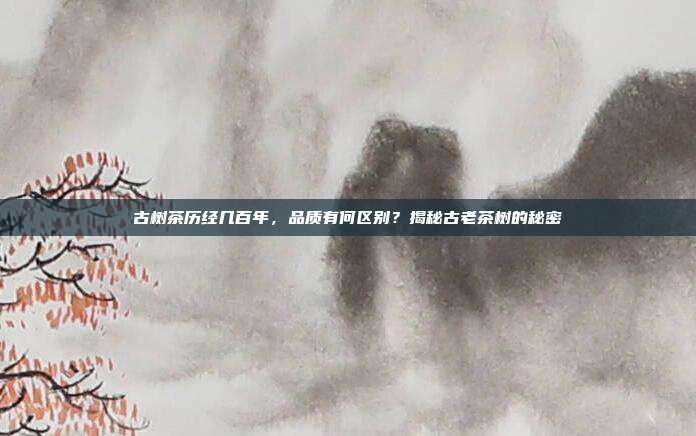 古树茶历经几百年，品质有何区别？揭秘古老茶树的秘密