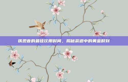 铁观音的最佳饮用时间，揭秘茶道中的黄金时刻