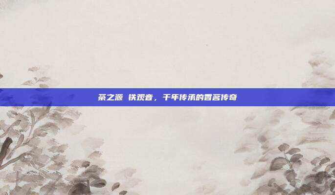 茶之源 铁观音，千年传承的香茗传奇
