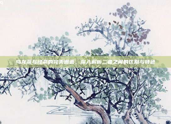 乌龙茶与绿茶的完美邂逅，深入解析二者之间的区别与特色