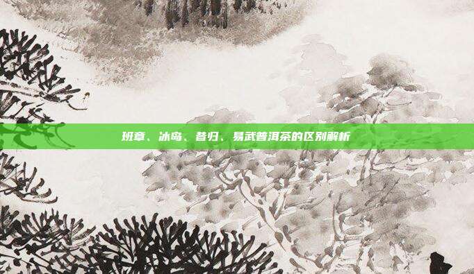 班章、冰岛、昔归、易武普洱茶的区别解析
