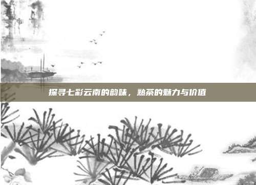 探寻七彩云南的韵味，熟茶的魅力与价值