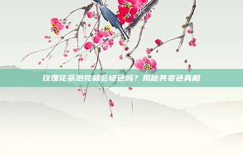 玫瑰花茶泡完就会褪色吗？揭秘其变色真相