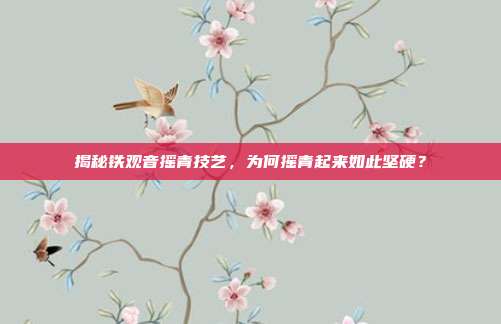 揭秘铁观音摇青技艺，为何摇青起来如此坚硬？