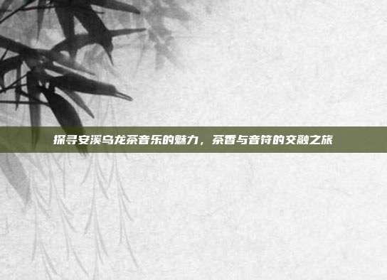探寻安溪乌龙茶音乐的魅力，茶香与音符的交融之旅