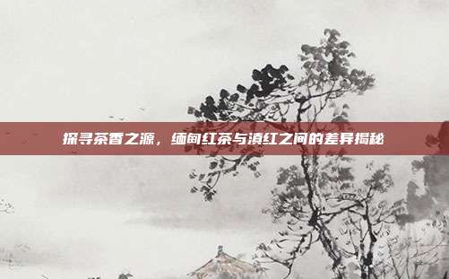 探寻茶香之源，缅甸红茶与滇红之间的差异揭秘