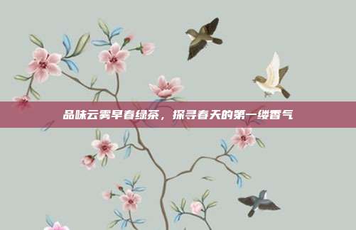 品味云雾早春绿茶，探寻春天的第一缕香气