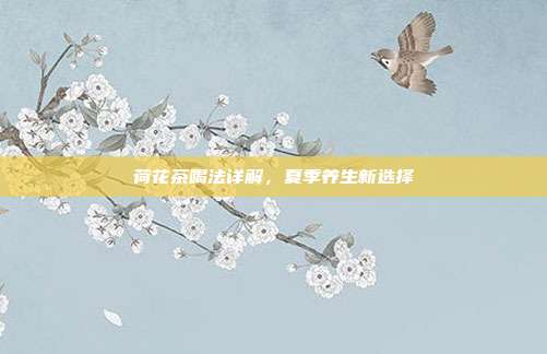 荷花茶喝法详解，夏季养生新选择
