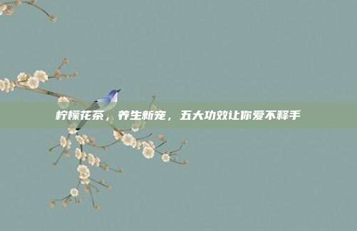 柠檬花茶，养生新宠，五大功效让你爱不释手