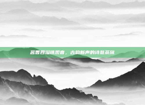 茗香四溢铁观音，古韵新声的诗意茶旅