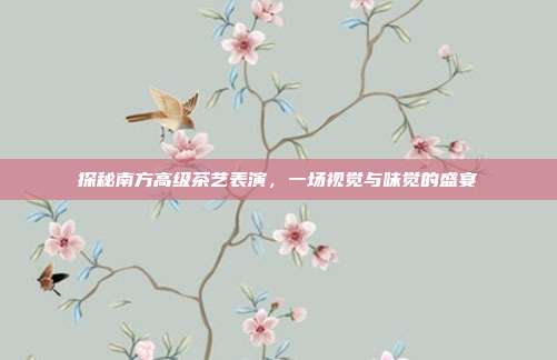 探秘南方高级茶艺表演，一场视觉与味觉的盛宴