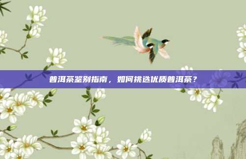 普洱茶鉴别指南，如何挑选优质普洱茶？