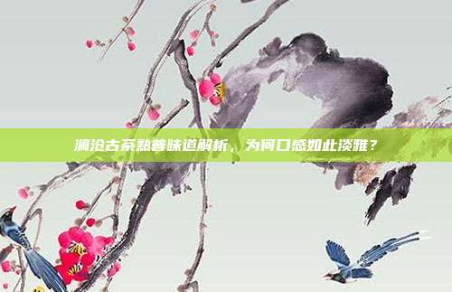 澜沧古茶熟普味道解析，为何口感如此淡雅？
