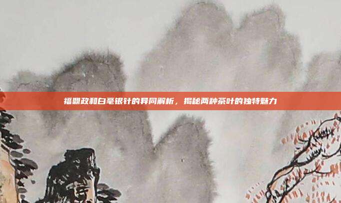 福鼎政和白毫银针的异同解析，揭秘两种茶叶的独特魅力