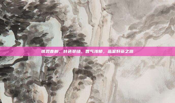 铁观音树，叶色翠绿，香气浓郁，品鉴好茶之源