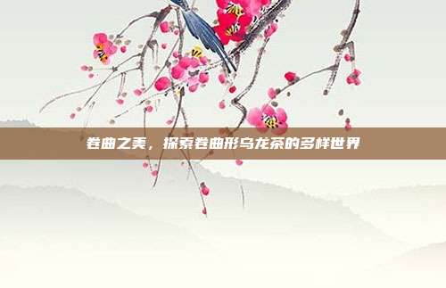 卷曲之美，探索卷曲形乌龙茶的多样世界