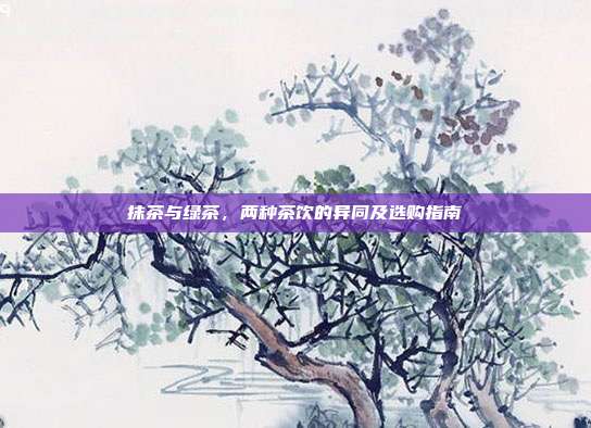 抹茶与绿茶，两种茶饮的异同及选购指南