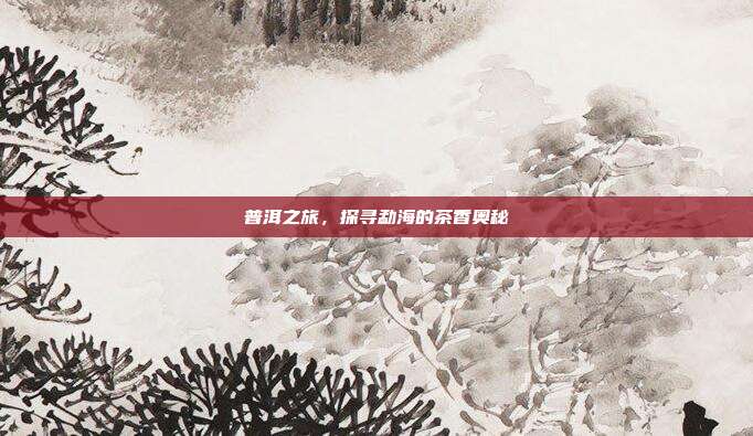 普洱之旅，探寻勐海的茶香奥秘