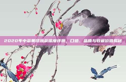 2020年中茶黄印熟茶深度评测，口感、品质与收藏价值揭秘