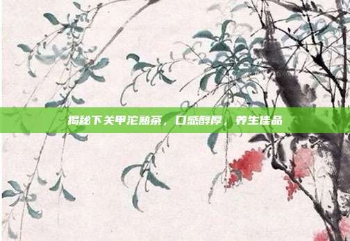 揭秘下关甲沱熟茶，口感醇厚，养生佳品