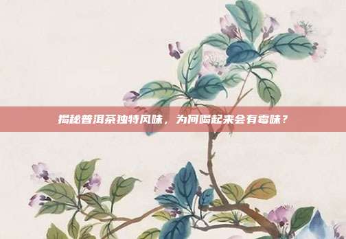 揭秘普洱茶独特风味，为何喝起来会有霉味？