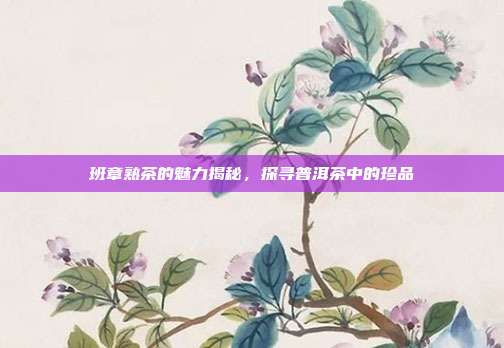 班章熟茶的魅力揭秘，探寻普洱茶中的珍品