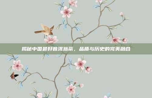 揭秘中国最好普洱熟茶，品质与历史的完美融合