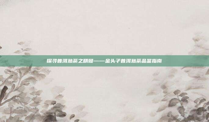 探寻普洱熟茶之精髓——金头孑普洱熟茶品鉴指南
