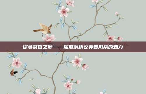 探寻茶香之源——深度解析公弄普洱茶的魅力