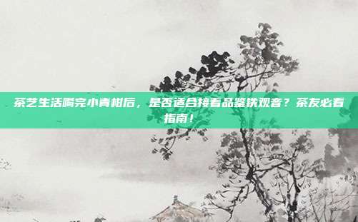 茶艺生活喝完小青柑后，是否适合接着品鉴铁观音？茶友必看指南！