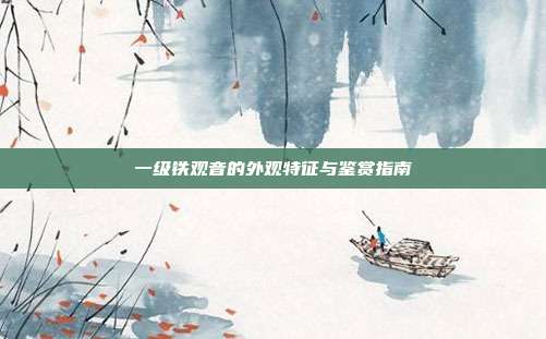 一级铁观音的外观特征与鉴赏指南