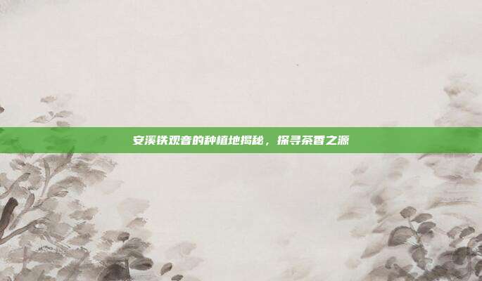 安溪铁观音的种植地揭秘，探寻茶香之源